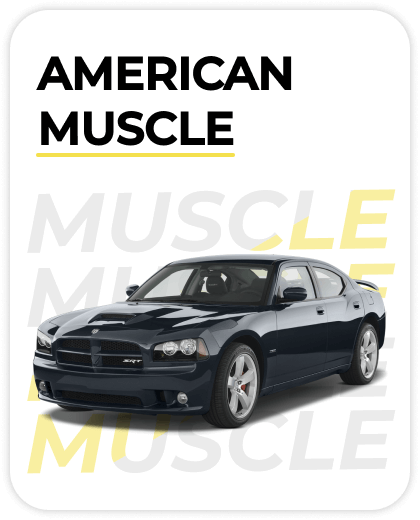 muscle_categ